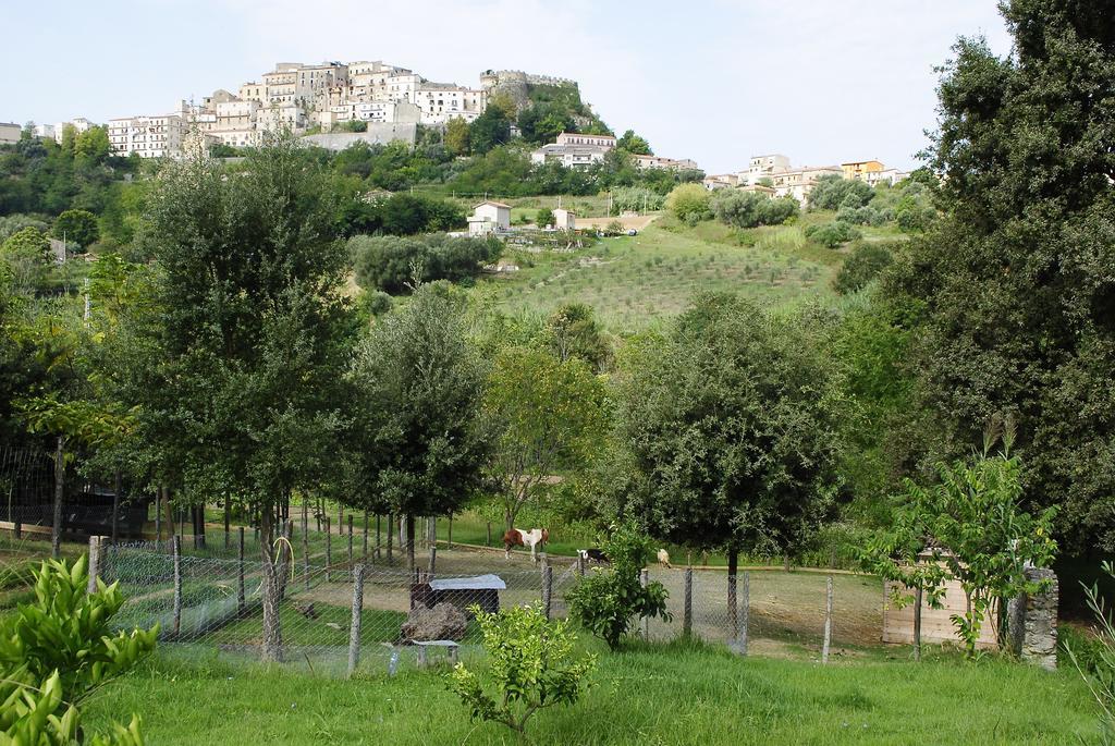L'arca Di Anna Brambilla Bauernhof