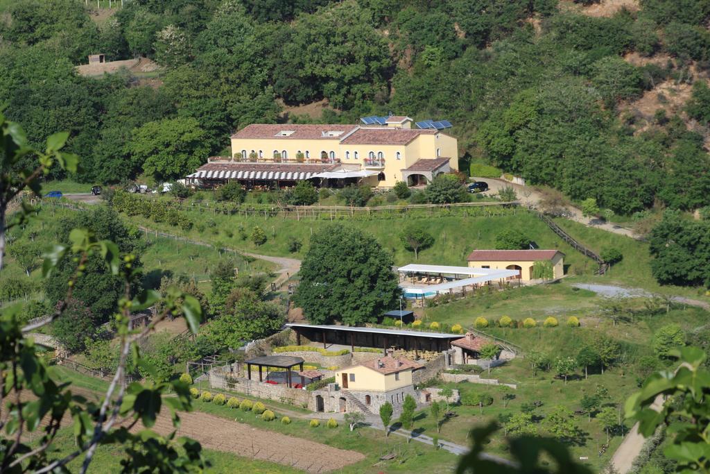 L'arca Di Anna Brambilla Belvedere Marittimo